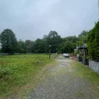 زمین قابل ساخت تو قلب جنگل /نخری ضرر کردی