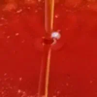 شیره ی انگور شیرازی