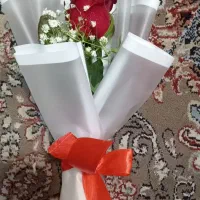 گل رز طبیعی