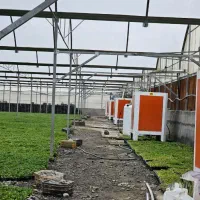 سازه گلخانه با تجهیزات کامل|عمده‌فروشی|مشهد, آیت الله کاشانی|دیوار