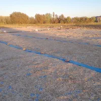 کدوآجیلی امساله درجه یک توپور حدود۱۵تن|عمده‌فروشی|هشترود, |دیوار