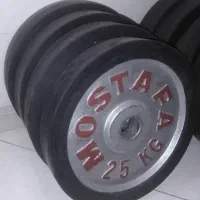 صفحه هالتر 25 کیلو