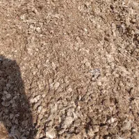 کود مرغی کود گوسفندی کود گاوی|خدمات باغبانی و درختکاری|ماهدشت, |دیوار