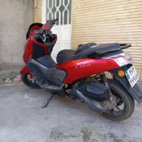 سگ نیه|حیوانات|سنندج, |دیوار