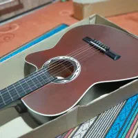 گیتار دیاموند با رنگی خاص