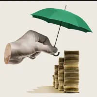 سرمایه گذاری