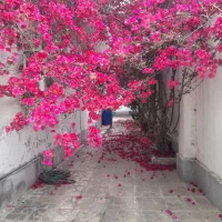 فروش ویلا۱۱۰متری/کلید نخورده/تحویل یکماهه