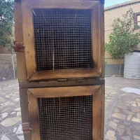 قفس خاش