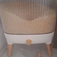 ظروف