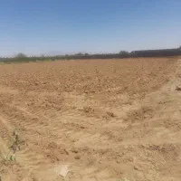 زمین کشاورزی صدراباد رستاق