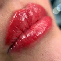 شیدینگ لب فقط هزینه مواد