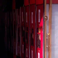 cd12 سوپر کلاس پد دار یاتاش یاتاک و انواع طبی فنری