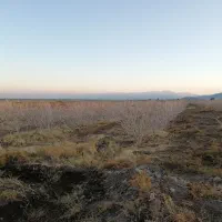 1هکتار زمین پسته ابارق سروستان|فروش زمین و ملک کلنگی|دهبکری, |دیوار