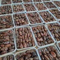 خرما کبکاب|خوردنی و آشامیدنی|وحدتیه, |دیوار