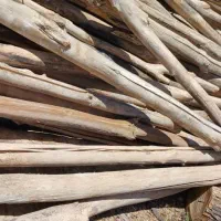 خریدوفروش چوب