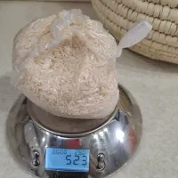 برنج فروشی هاشمی