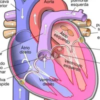 تدریس خصوصی دروس نهایی دوازدهم بصورت رایگان