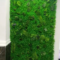 گرین وال و فنس برگی|مصالح و تجهیزات ساختمان|اهواز, آریاشهر|دیوار