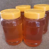 فروش عسل طبیعی گون