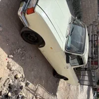 وانت
