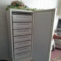 فریزر پارس