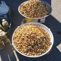 اجیل وخشکبار هورامان|حراج|بیجار, |دیوار