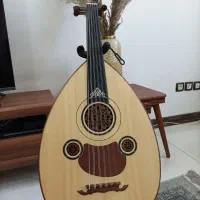 عود حرفه ای