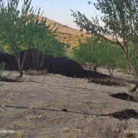 فروش باغ در طرحهای باغ گستران سامان