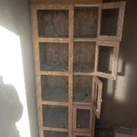 کبوترسفیدالمانی وقفس درچناران