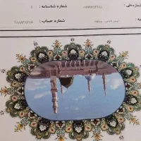 ۲عدد عمره ۸۷ ملت