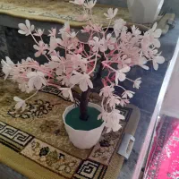 استند گل|گل مصنوعی|کرمانشاه, |دیوار
