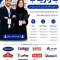 بازاریاب و ویزیتور