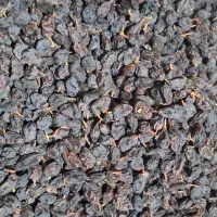مویز سیاه|خوردنی و آشامیدنی|شیراز, شهرک فرهنگیان|دیوار