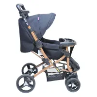 کالسکه و کریر دلیجان مدل بنیتا