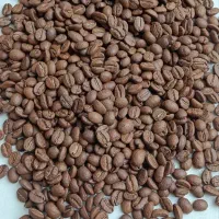 تامین دان قهوه/اسپرسو/تخصصی/با کیفیت