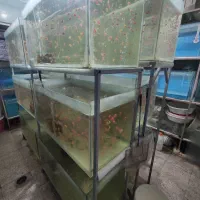 پایه اکواریوم