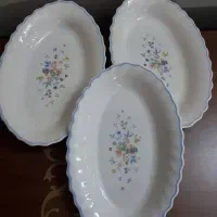 دیس مزه خوری ارکوپال فرانسوی اصل