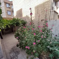 زمین 60 متری صدرصد بنا /کوروش/ مولوی