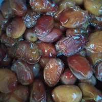 خرماعسلی.مکان بیرجند|خوردنی و آشامیدنی|جلگه ماژان, |دیوار