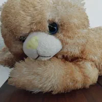 عروسک‌های بافت کار دست وچند تا عروسک مختلف|اسباب‌بازی بچه|گلبهار, شهر جدید گلبهار|دیوار