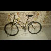 دوچرخه24