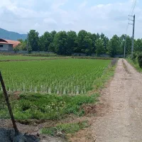 فروش-زمین-600-متری