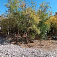 واگذاری سالن اخر شب