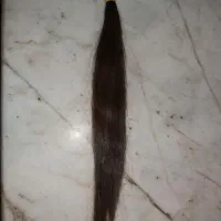 موی طبیعی ۳۰ سانت|آرایشی، بهداشتی، درمانی|کرج, باغستان|دیوار