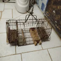 سهره و قفس سهره|پرنده|شهریار, شهرک بهاران (ویره)|دیوار