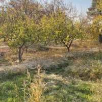 باغ ۹۵۰ متر یوسف اباد صیرفی شهریار|فروش زمین و ملک کلنگی|شهریار, یوسف آباد صیرفی|دیوار