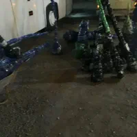 تولید نهال زردآلو تخم مرغی سلطنتی|خدمات باغبانی و درختکاری|دره رود, |دیوار