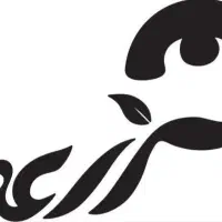 کارگر ساده و ماهر آقا