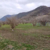 مازندران .گلوگاه جاده بردنا سایت پرواز|فروش زمین و ملک کلنگی|سرخه حصار, |دیوار