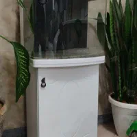 آکواریوم شیشه خم شرکتی ماهیران|ماهی|سقز, |دیوار